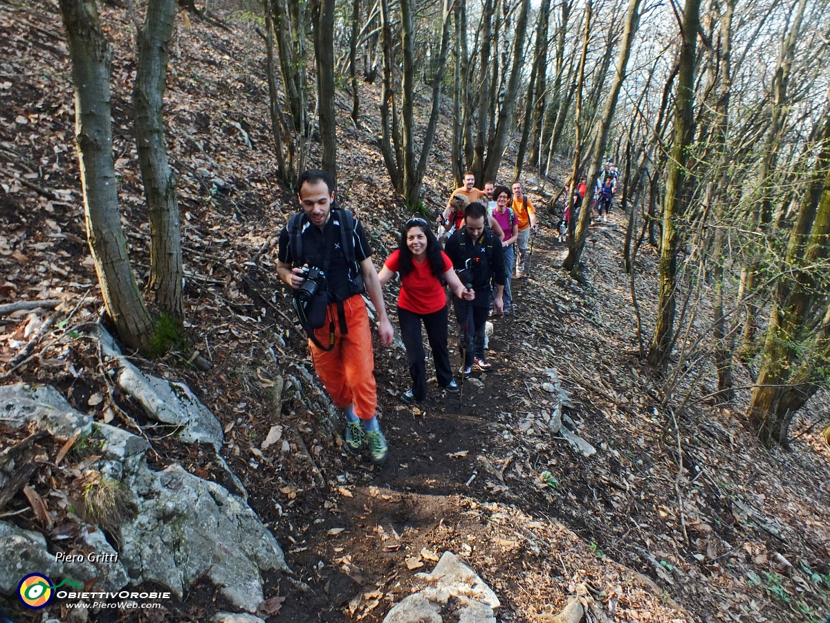 17 Ultimo tratto nel bosco e....JPG